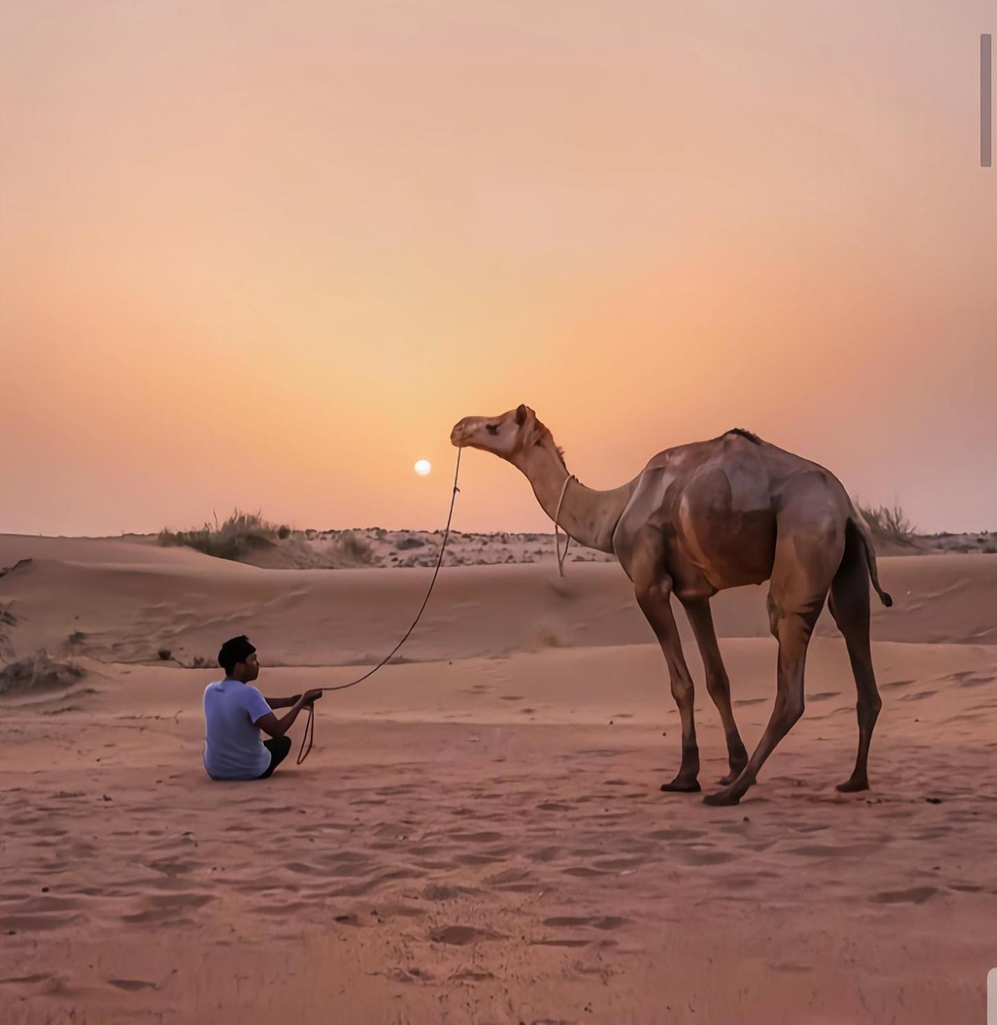 The Saffron Desert Camp Джайсалмер Экстерьер фото